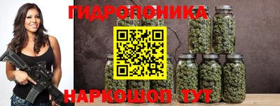 метадон Гусь-Хрустальный