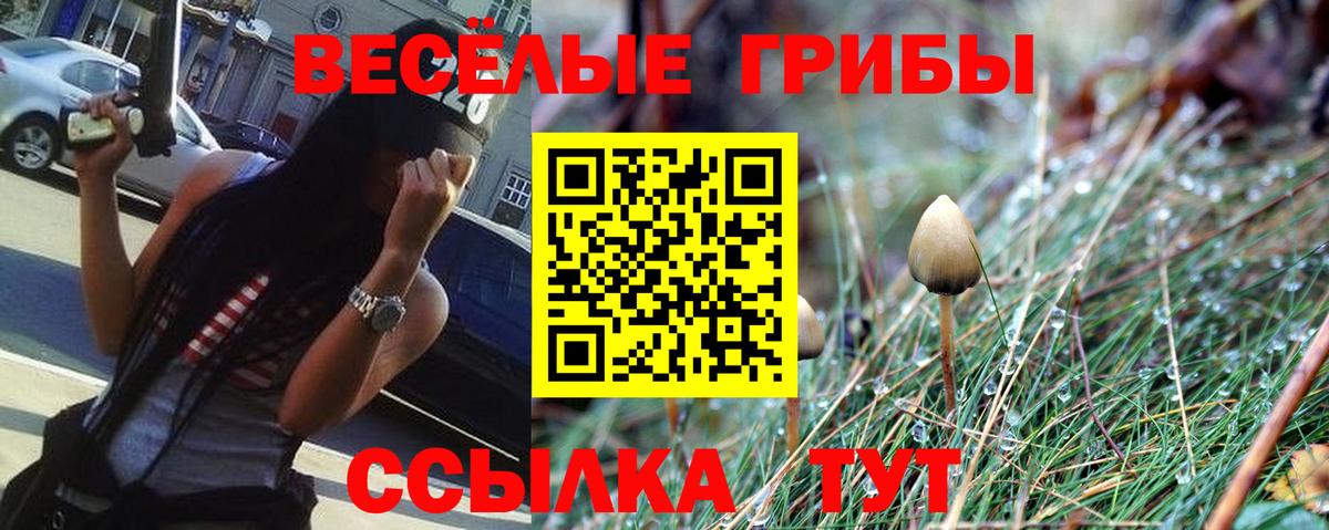 Салехард  где купить наркоту  Вход с VPN  Галлюциногенные грибы Psilocybine cubensis 